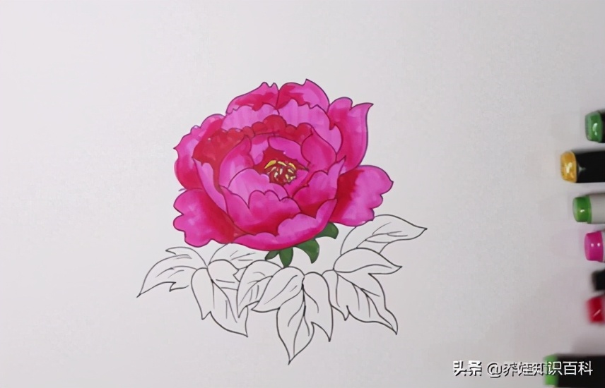 牡丹怎么画漂亮又简单马克笔画,简单画牡丹画法步骤