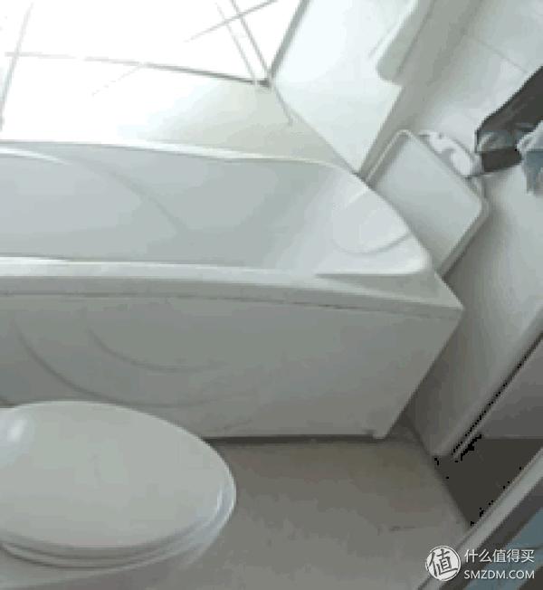 白天不在家猫喂食怎么办,白天不在家猫怎么养