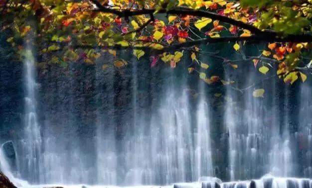 黄山秋景几月去最好,秋天几月份去黄山最好看的花海