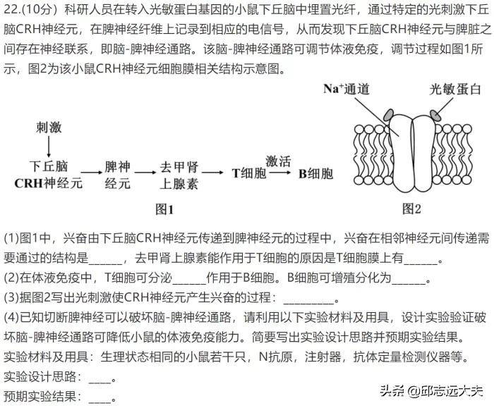 中国免疫学科学家,免疫学领域学者排名