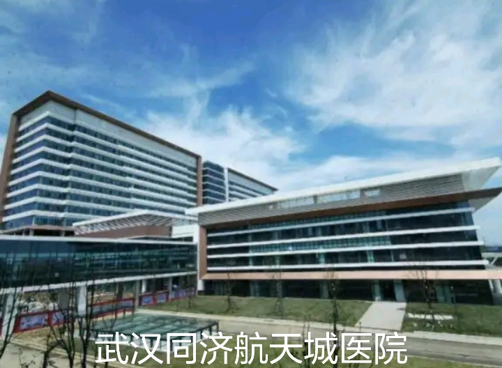 武汉阳逻发展如何,武汉阳逻老城区