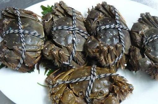 鲜活螃蟹如何储存,鲜活的海螃蟹怎么储存