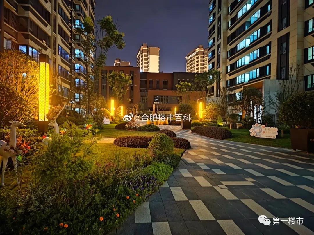 合肥十大平层楼盘排行榜,合肥前十名3室100万首付新楼盘