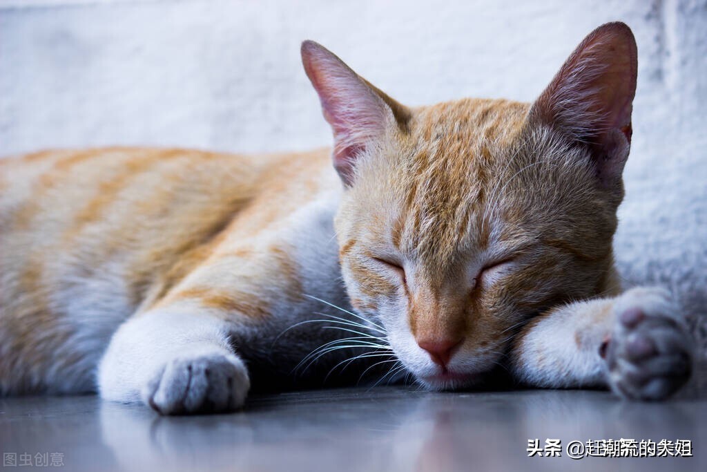 这5类商品不要在网上购买,不建议在网上购买的3种商品