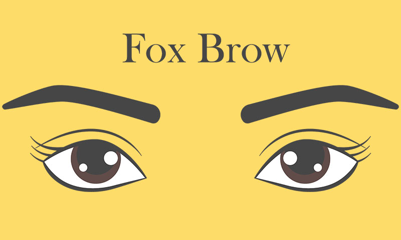 各种眉形怎么修眉,修眉怎么选适合自己的眉形