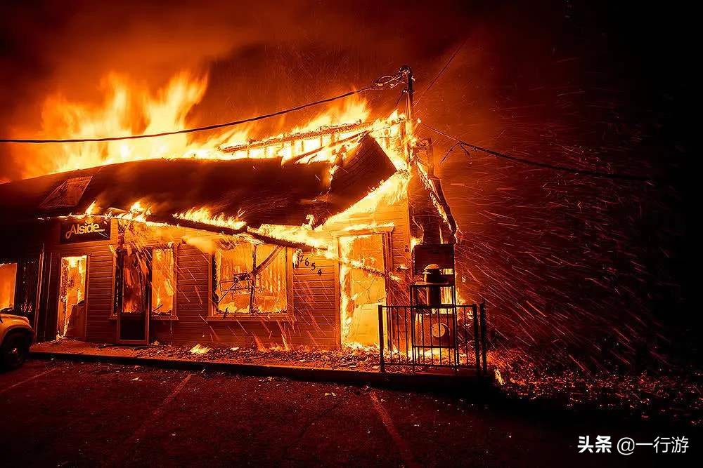 乌龟算不算灵性动物,乌龟是怎么被杀死的