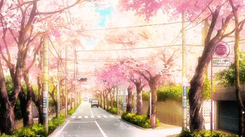 花店里面最贵的花多少钱一朵,花店一大束花的价格一般多少钱