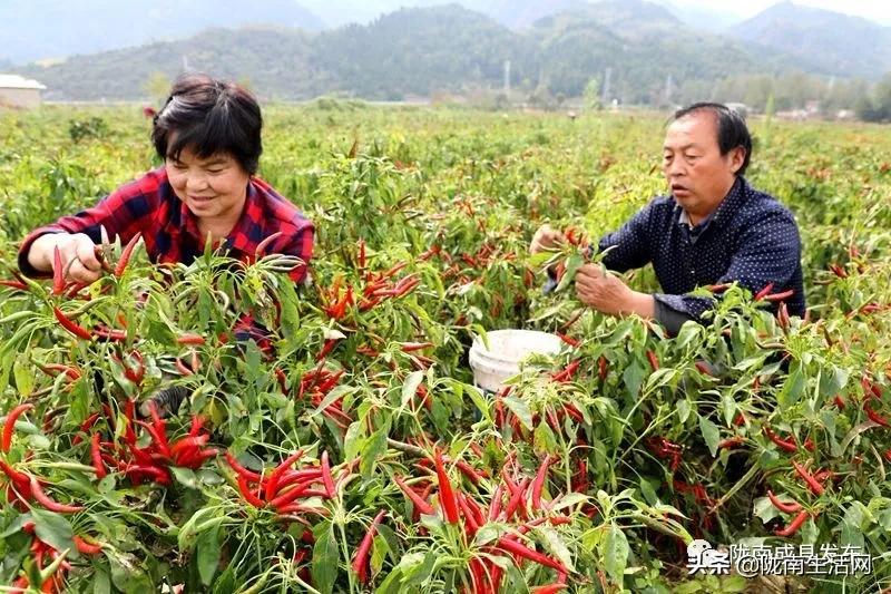 我叫成县，这是我2019年的自拍照