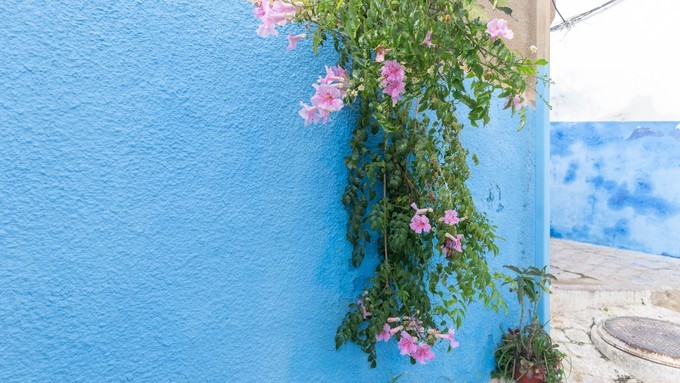 浪漫的土耳其之旅游攻略,摩洛哥的攻略