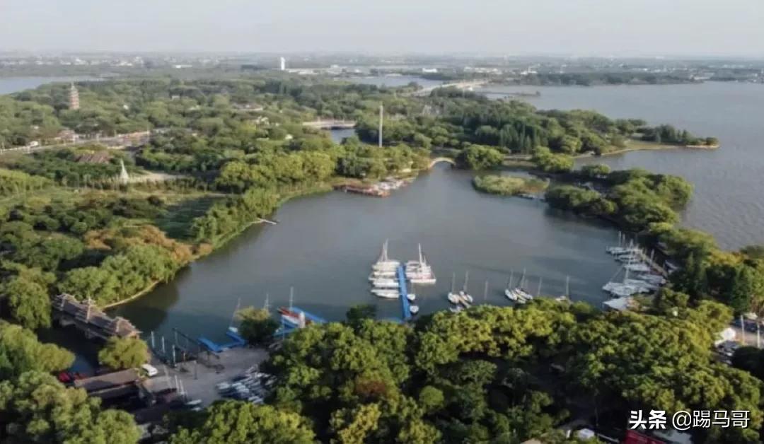 上海附近有哪些露营地可以看星星,上海周边免费露营地推荐人多