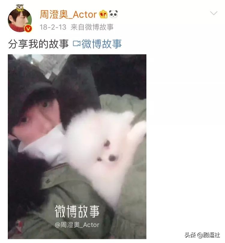 宁愿错过一百个齐铭，也不要错过一个顾森西！郑爽你醒醒