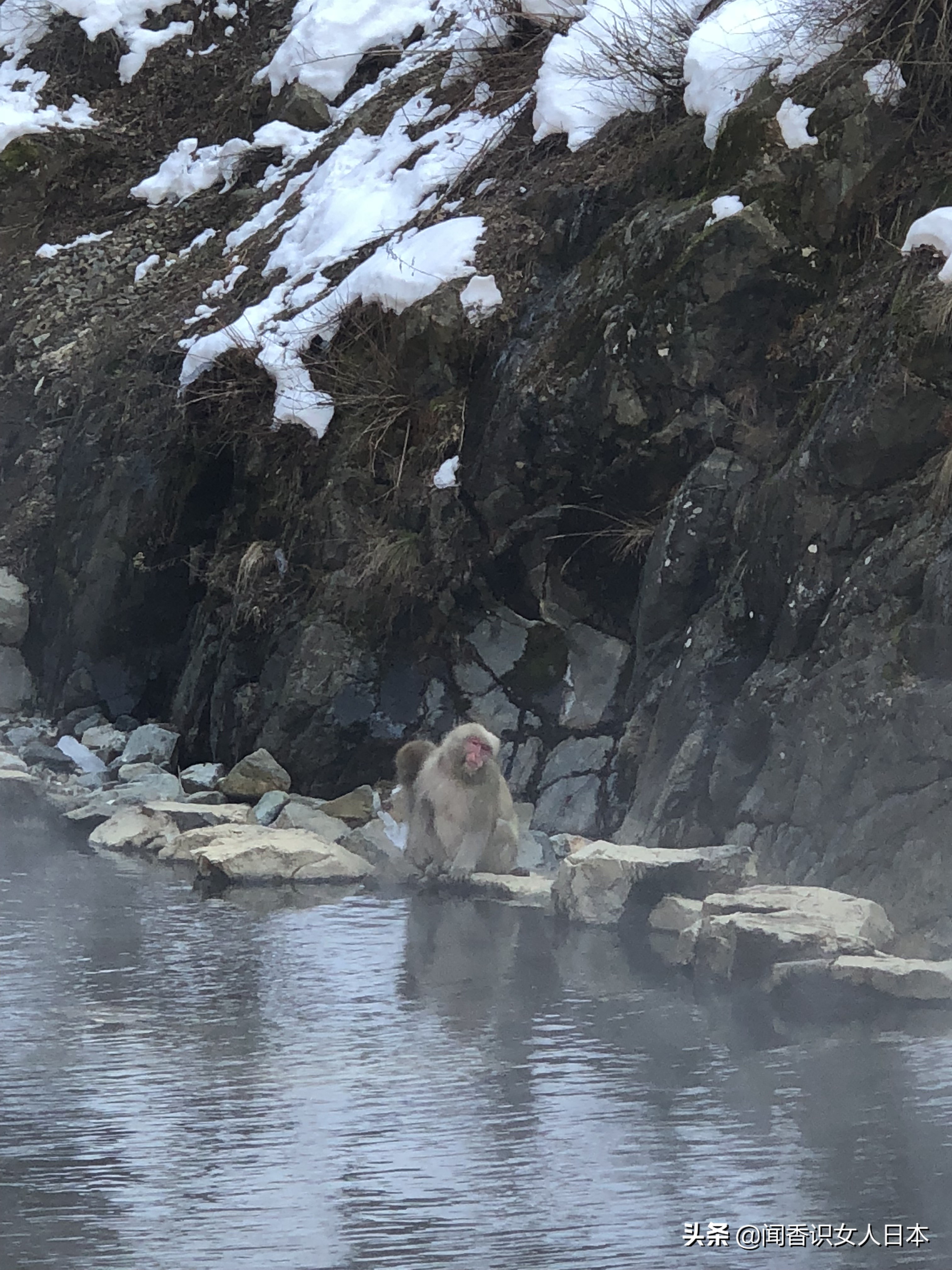 长野好玩的地方,日本长野旅游攻略