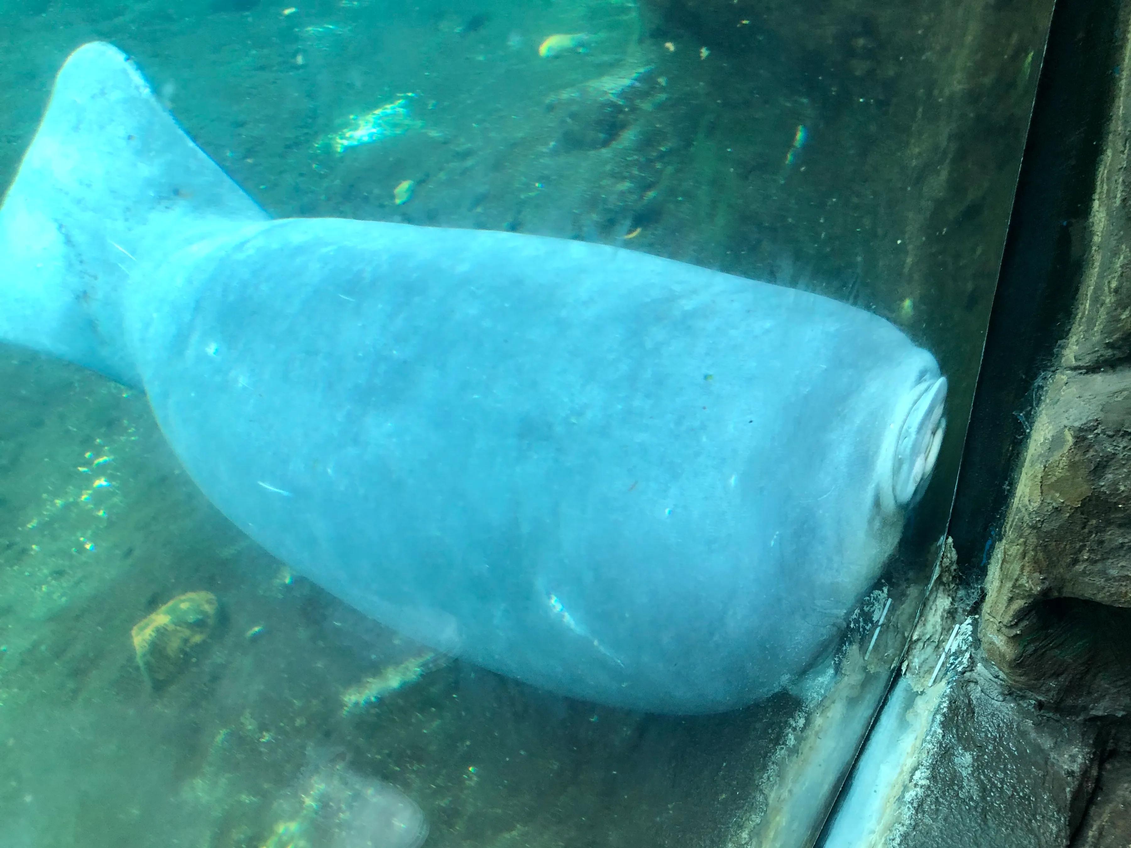 珠海长隆游玩攻略和时间,一月珠海长隆游玩攻略三天两晚