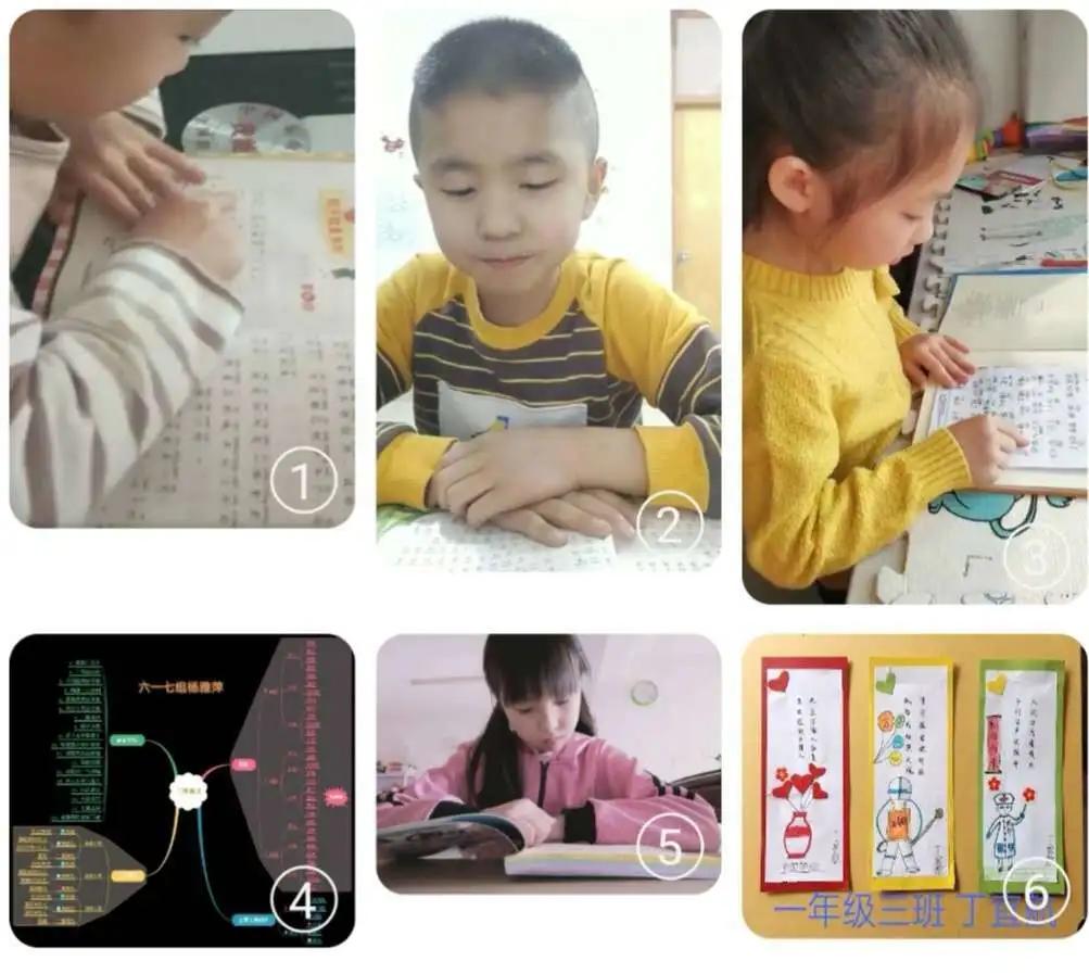 鑱婂煄甯傛渶鍑哄悕鐨勫鏍℃槸,鑱婂煄寤烘牎