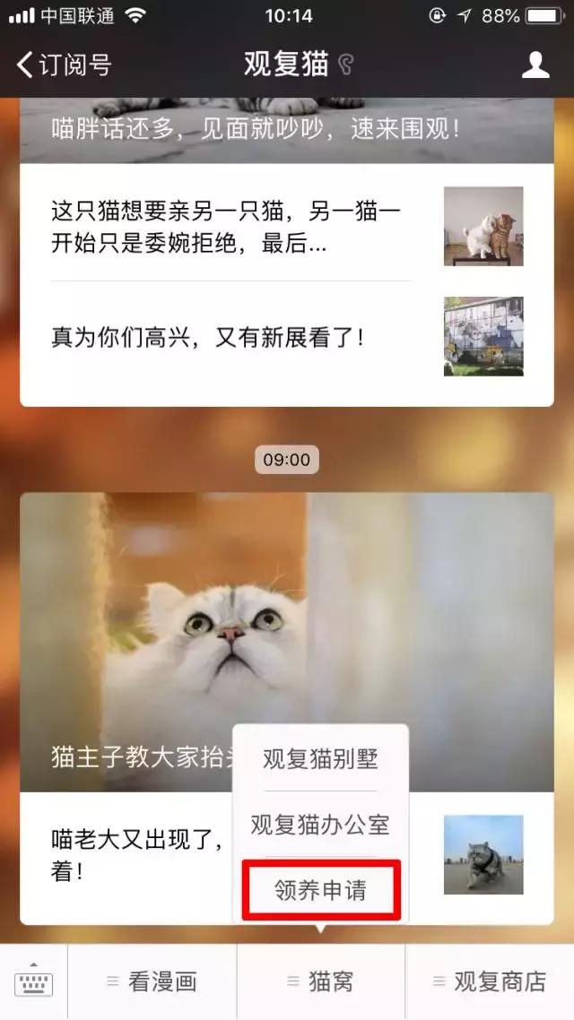 上次没领到猫的亲们，第二波小盆友来啦