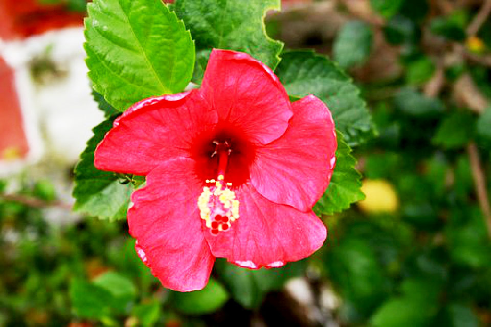 写进心坎的说说短句句句穿透人心,触及心灵的经典说说