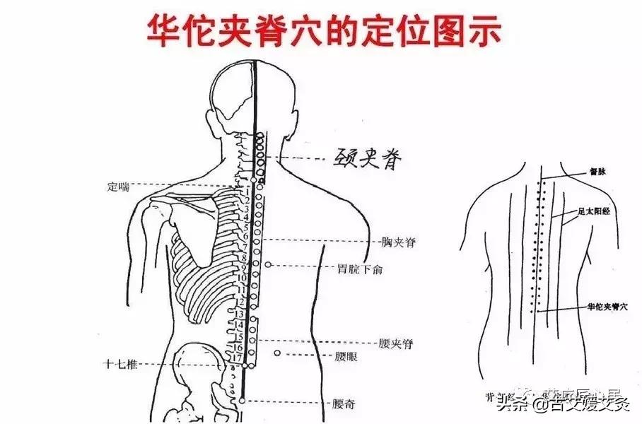 乳腺增生针灸推拿经络疏通,乳腺增生艾灸应灸什么部位