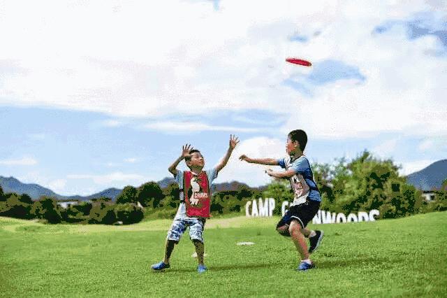 飞盘的4种基本扔法玩法,盘不落地