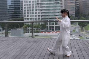 太极八步五法教程,太极八步拳教学