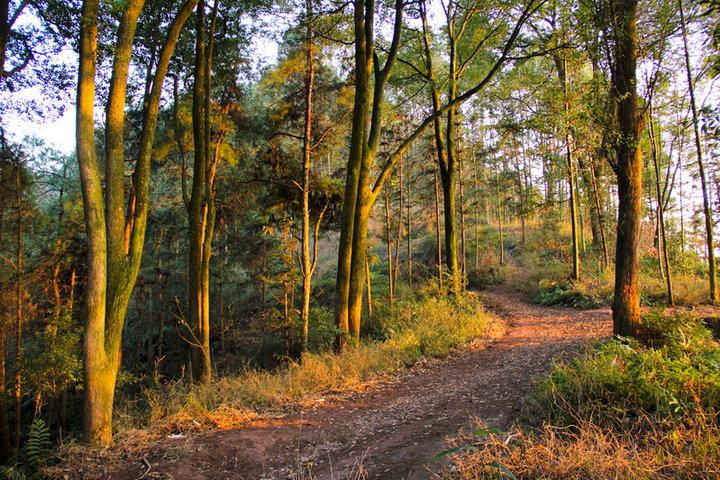 陪孩子走过小学六年初高中,陪女儿一起经历中考