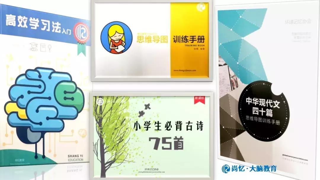 2020最强大脑特训营,最强大脑暑假特训班