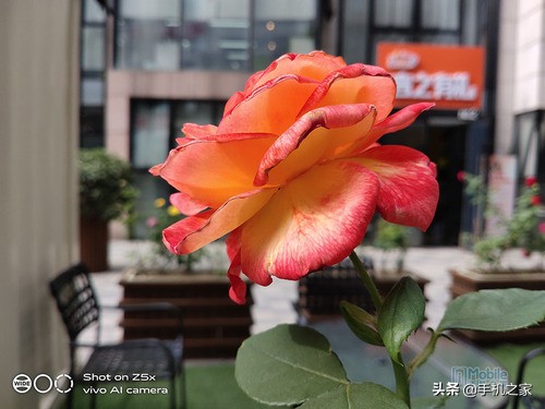 vivoz5x全面测评 (值得买吗vivo z5x)