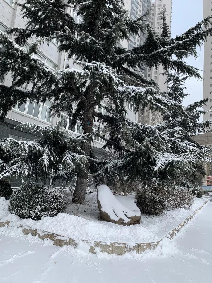 辽宁附属高级中学,辽宁师范大学附属中学2017