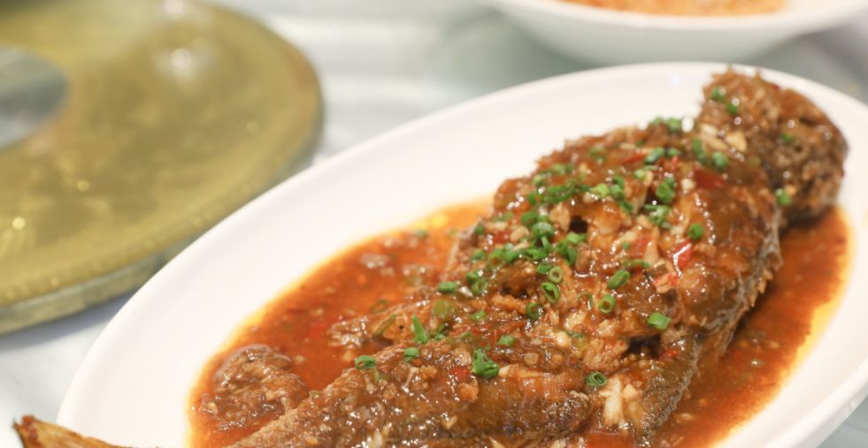 鱼儿食欲怎么样,鱼儿是怎么吃东西