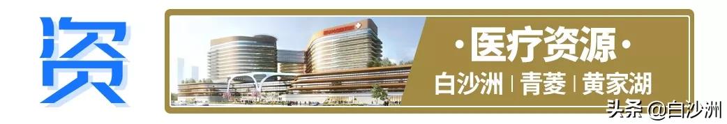 洪山白沙洲体育公园,白沙洲建体育文化公园