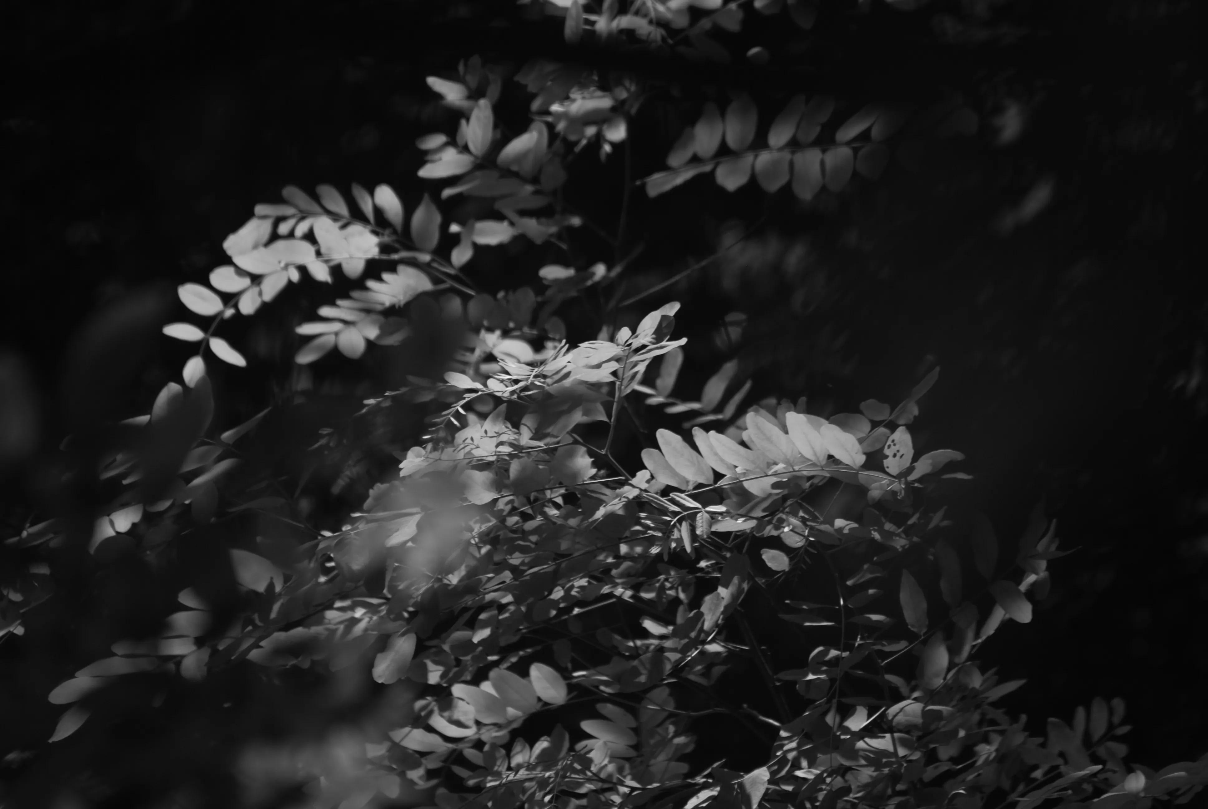 1000多的二手单反值得买吗,1000元左右二手单反全画幅