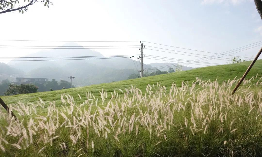 童年主题的景观设计,高端儿童景观设计