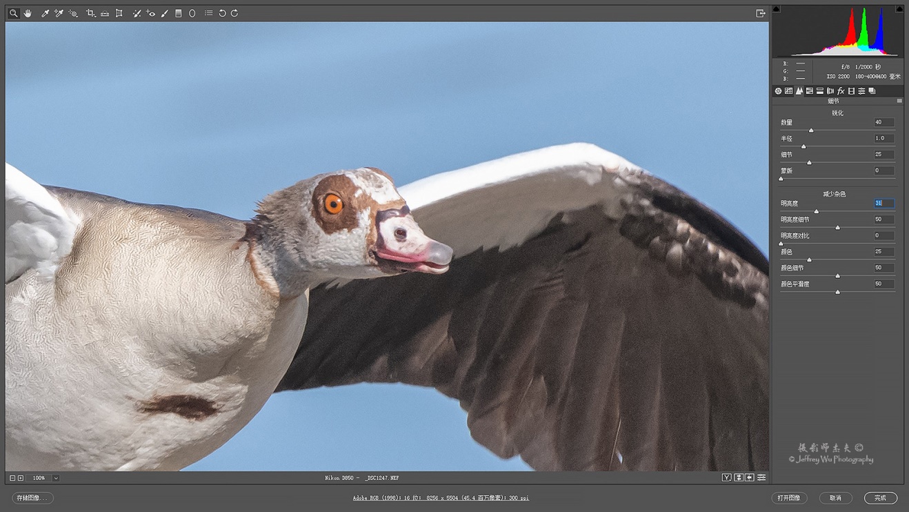 尼康nikond850拍摄视频,摄影器材篇尼康d850