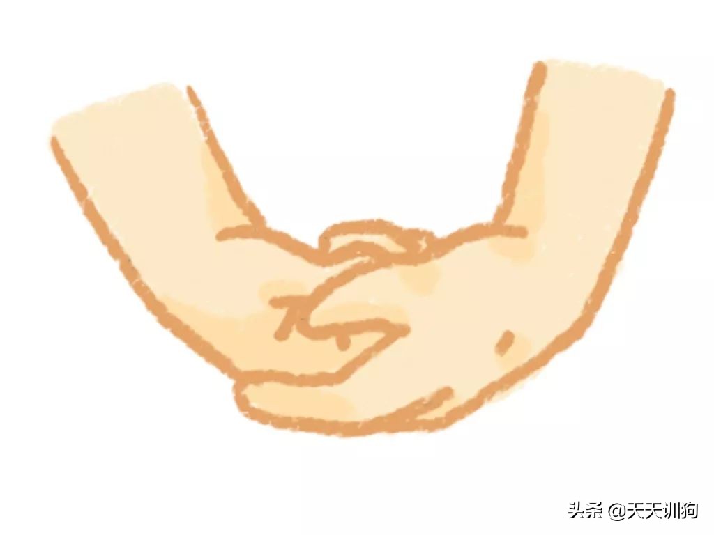 狗狗吞了牙签自救的方法,狗狗误吞异物排不出来怎么办