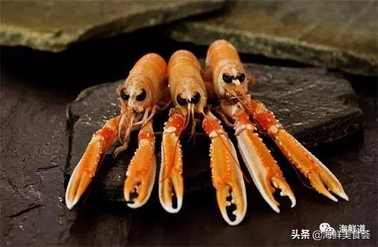 好吃不贵的海鲜种类有哪些,最好吃又最常见海鲜有几种