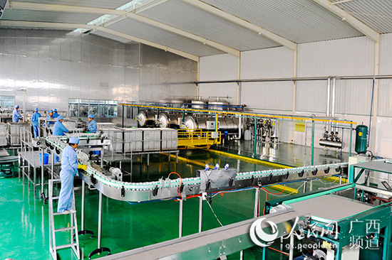 发展中药材产业助力农民致富增收,中药材种植专业合作社成助农增收