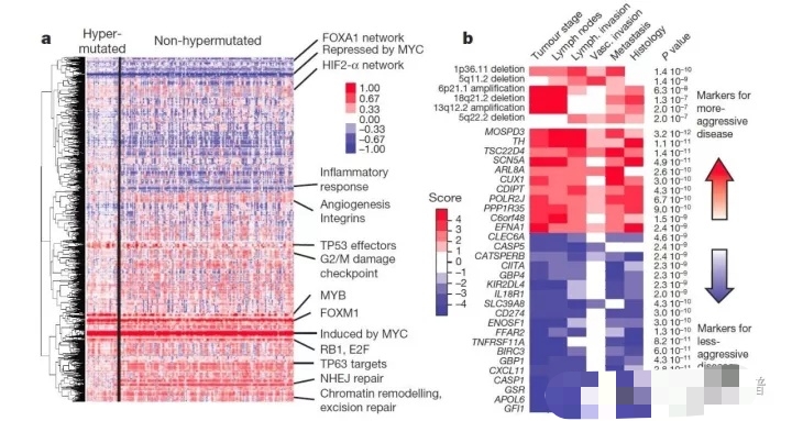 都是大肠癌,结肠癌和直肠癌到底有什么区别?