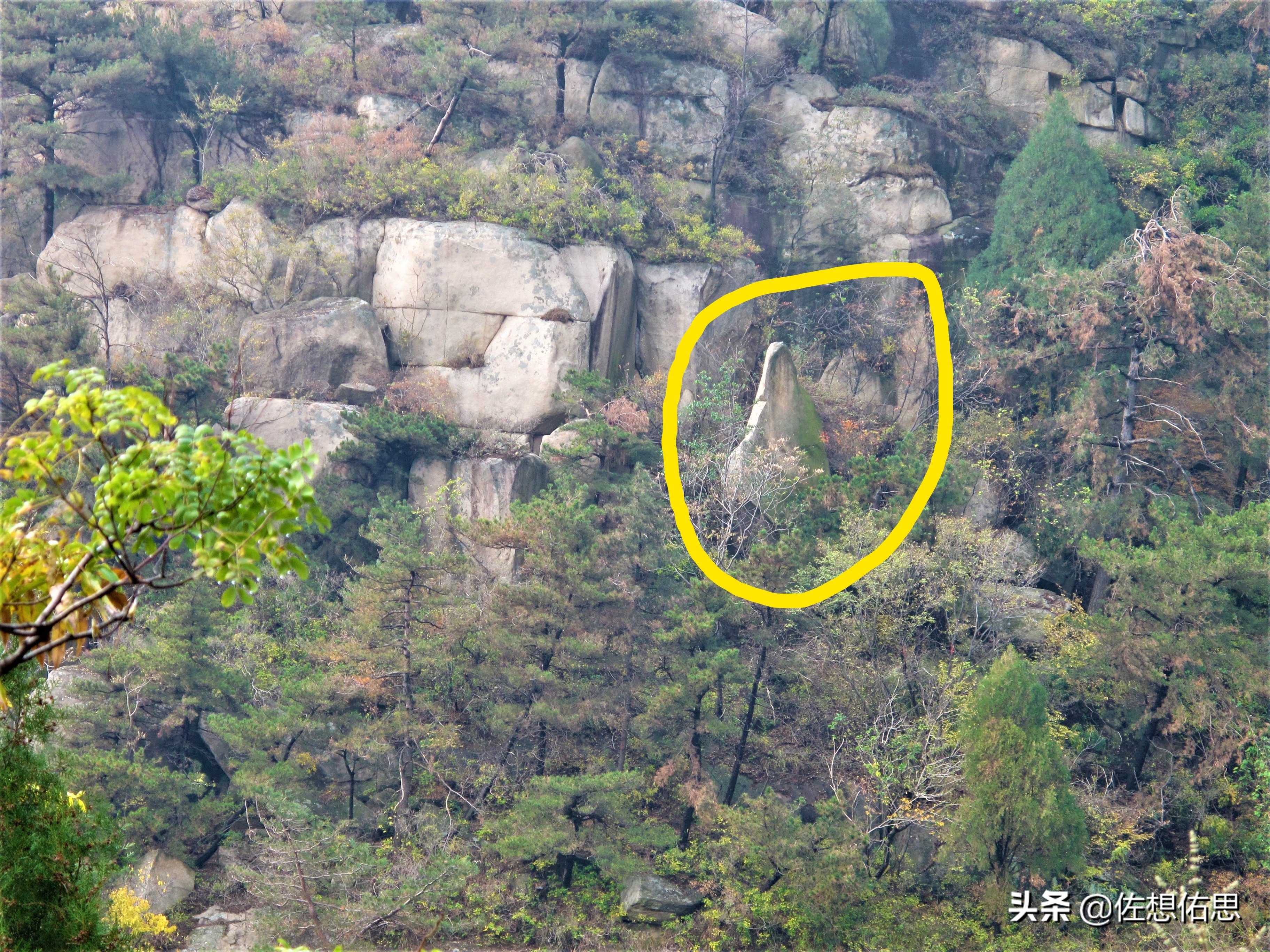 扇子崖优惠,泰安扇子崖免门票吗