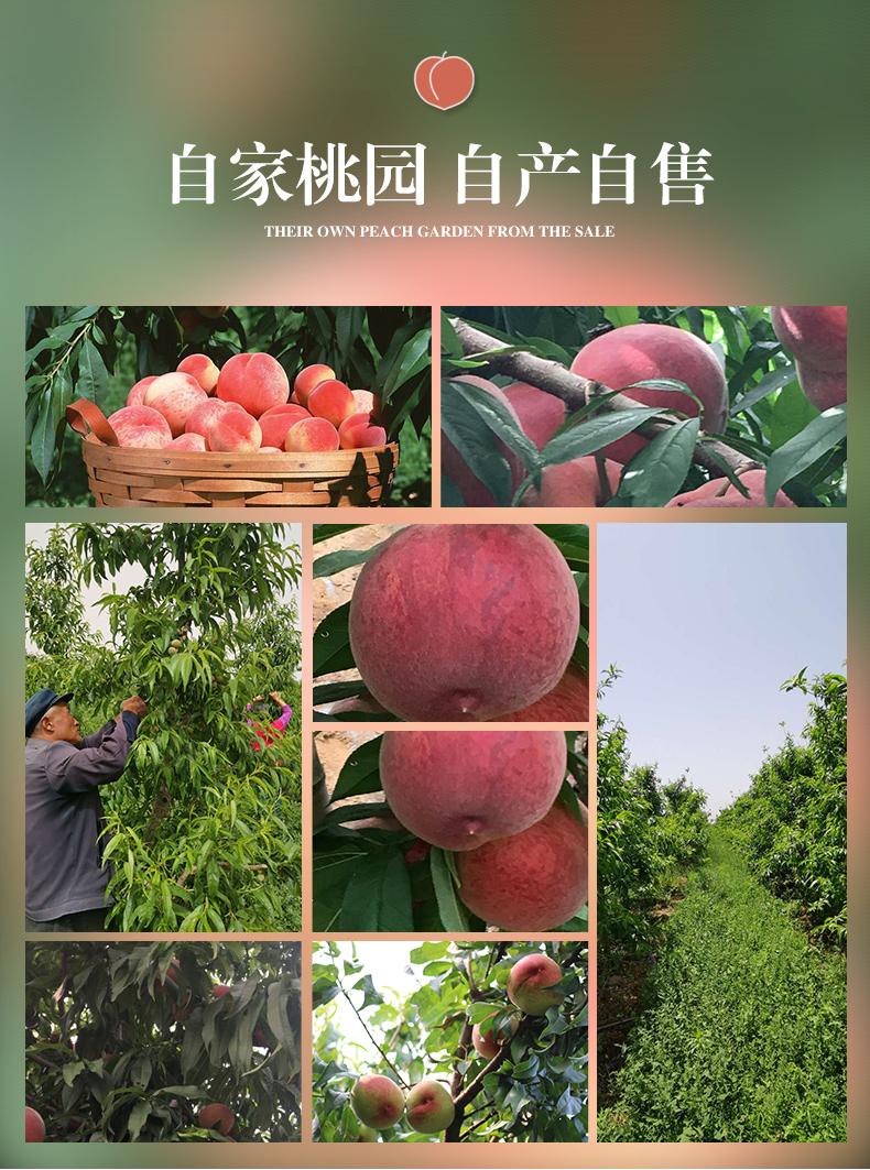 水蜜桃怎样挑选,如何挑选水蜜桃