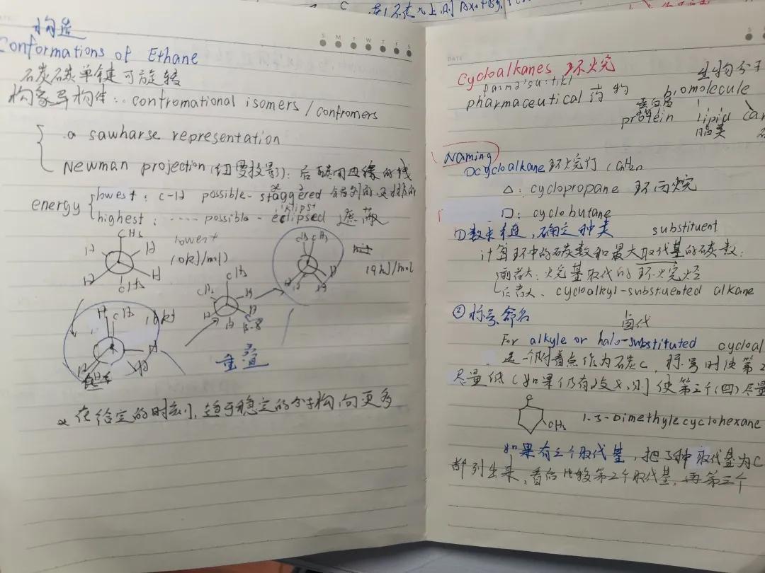 是你们院的吗？东大学霸线上出没