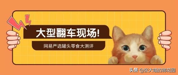 网易严选猫罐头试吃,猫咪零食罐头网易严选