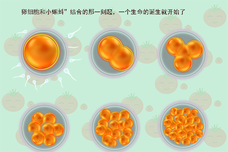 孕期这4种症状是胎宝在保平安,怀孕初期如何自己判断胎宝宝健康