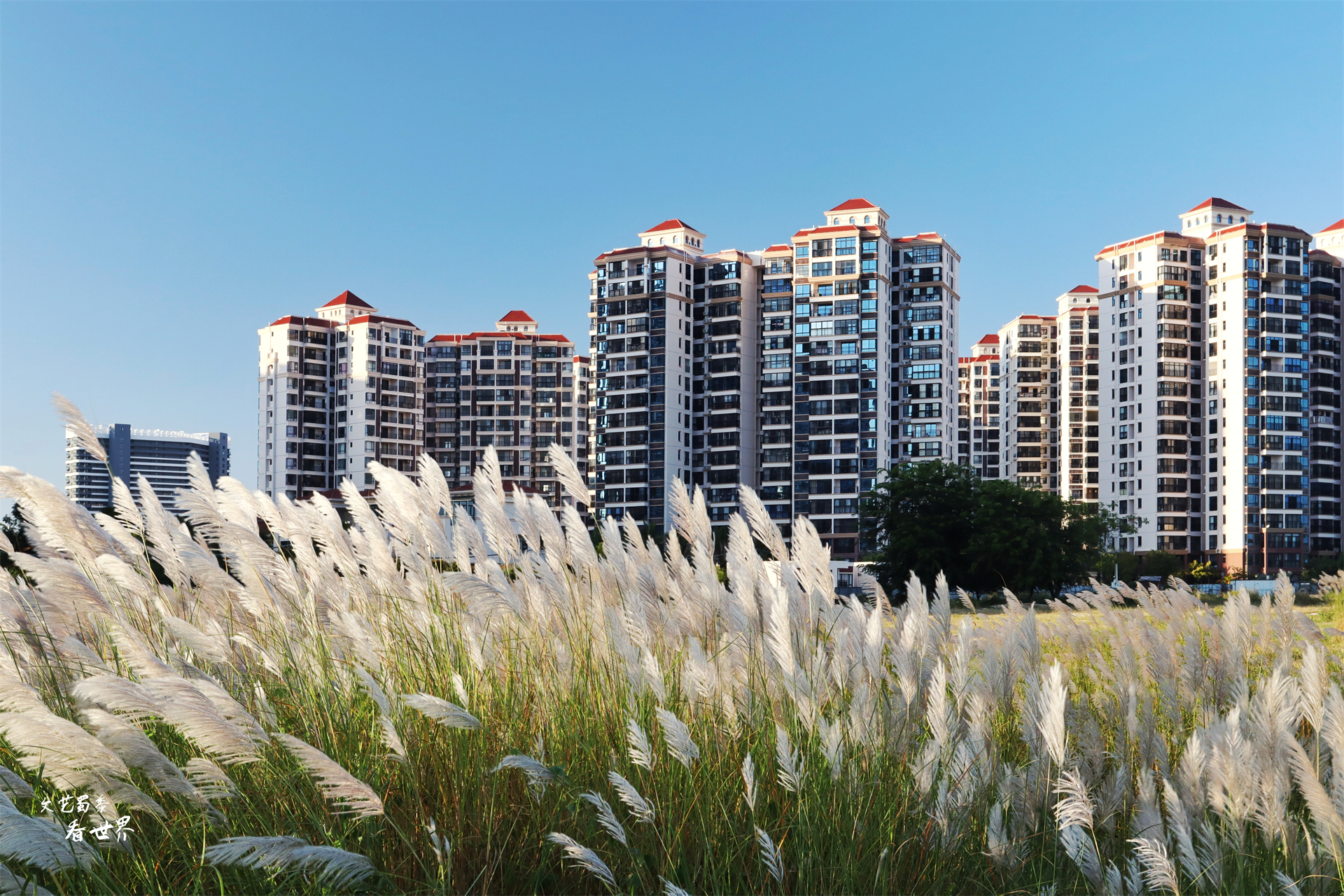 东北人去三亚居住哪里更好,冬天在三亚养老真的很好吗