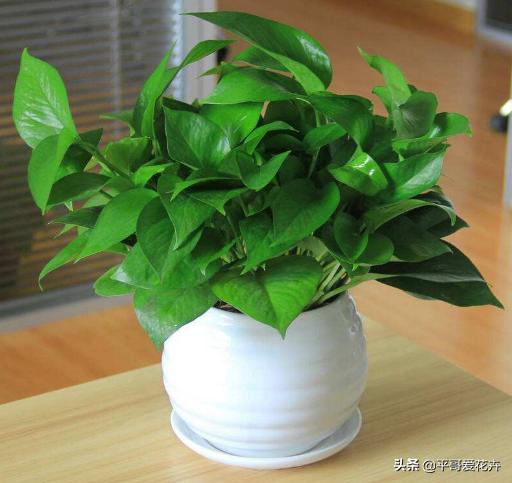 鐜嬪ぇ濡堝吇缁胯悵缁忛獙,鍚村ぇ濡堝吇缁胯悵鏂规硶