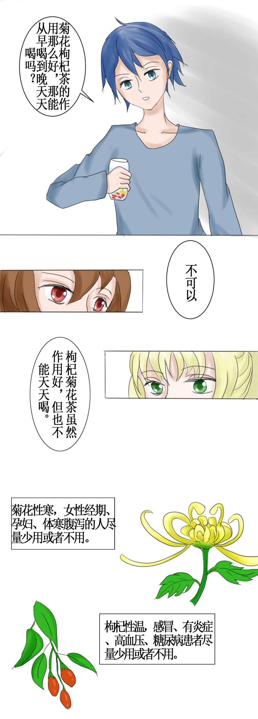 菊花枸杞茶可以整天喝吗,枸杞菊花茶喝多久有明目效果