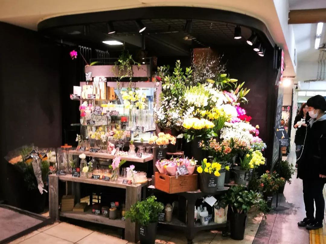 花店之旅,日本花店的真实感受