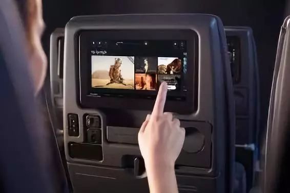 澳洲|春意堪培拉,看袋鼠、品酒、赏花、住进动物的家