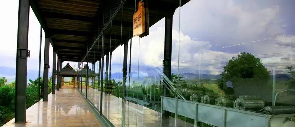 罗莱夏朵简介,罗莱夏朵西班牙