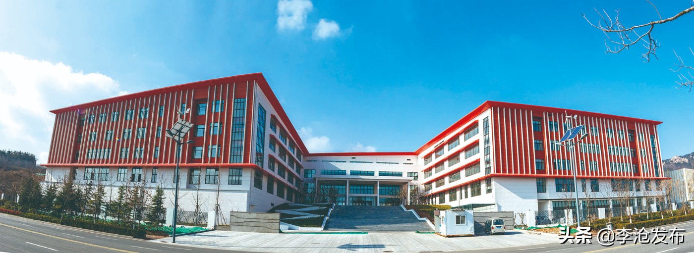 青岛市解决民生问题,民生改善有力度幸福生活有温度