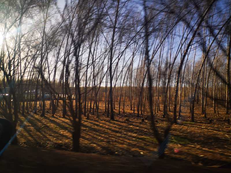 烟雨重游太平湖,重游太平古城游玩攻略