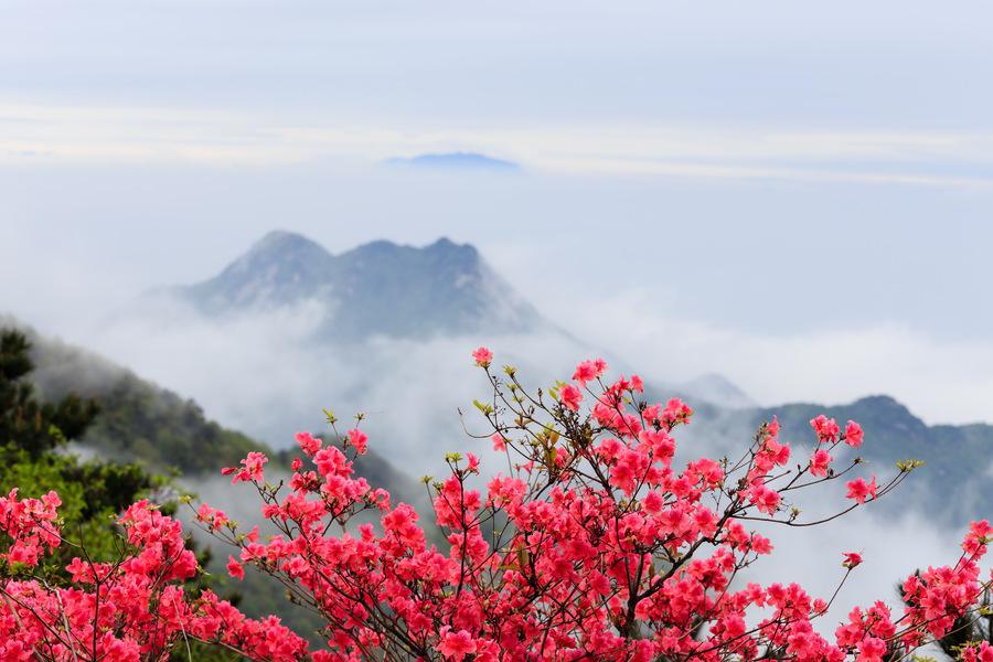 你是人间最美四月天的诗句,你是人间的四月天诗文